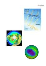 Referāts 'Izklāsts par ozona slāni pamatskolas skolēniem', 29.