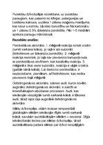 Konspekts 'Augu elpošanas enzīmi', 2.