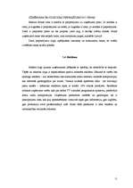 Referāts 'Uzņēmuma "Ziediņš" mārketinga darbība', 11.