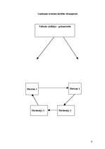 Referāts 'Uzņēmuma "Ziediņš" mārketinga darbība', 13.