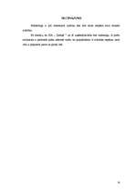 Referāts 'Uzņēmuma "Ziediņš" mārketinga darbība', 16.