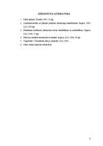 Referāts 'Uzņēmuma "Ziediņš" mārketinga darbība', 17.