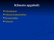 Prezentācija 'Mērenās joslas meži Latvijā un pasaulē', 5.