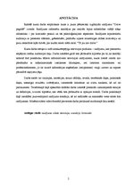 Referāts 'Jauna pētnieciski izglītojoša televīzijas raidījuma "Dzīve pagrīdē" izveide', 2.