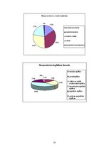 Referāts 'Jauna pētnieciski izglītojoša televīzijas raidījuma "Dzīve pagrīdē" izveide', 33.