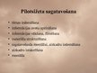 Referāts 'Jauna pētnieciski izglītojoša televīzijas raidījuma "Dzīve pagrīdē" izveide', 48.