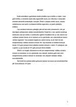 Referāts 'Ceļu satiksmes noteikumu pārkāpumi', 3.