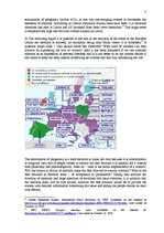 Eseja 'Termination of Pregnancy in Latvia', 3.