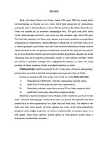 Referāts 'K.Levī-Strosa darba "Structural Anthropology" analīze', 3.