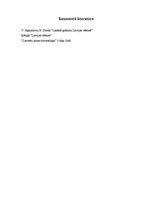 Referāts 'Senās Latvijas kultūra', 9.