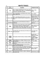 Konspekts 'Spēles un atrakciju idejas nakts trasēm un pasākumiem', 1.