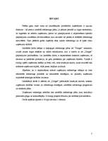 Referāts 'A/s "Drogas" mārketinga stratēģija', 3.