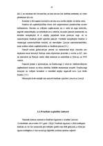 Referāts 'Franšīzes izmantošana mazā biznesa attīstībai Latvijā', 17.