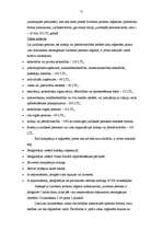 Referāts 'Franšīzes izmantošana mazā biznesa attīstībai Latvijā', 20.