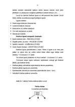 Referāts 'Franšīzes izmantošana mazā biznesa attīstībai Latvijā', 26.