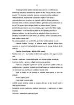 Referāts 'Franšīzes izmantošana mazā biznesa attīstībai Latvijā', 41.