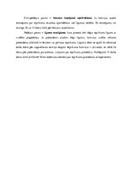 Konspekts 'Zaļais iepirkums - atklāts konkurss', 2.