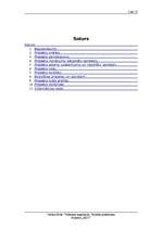 Referāts 'Interneta kafejnīcas izveide Viļķenē', 2.