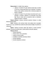 Referāts 'Darbinieku motivācija un motivācijas politikas īstenošanās uzņēmumos', 4.