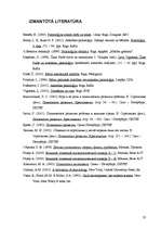 Referāts 'Bērna intelektuālā attīstība zīdaiņa un mazbērna periodā', 23.