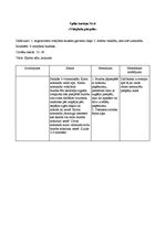 Konspekts 'Rotaļu apraksti', 5.