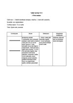 Konspekts 'Rotaļu apraksti', 7.