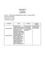 Konspekts 'Rotaļu apraksti', 8.