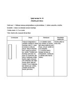 Konspekts 'Rotaļu apraksti', 9.