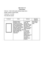 Konspekts 'Rotaļu apraksti', 11.