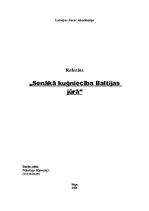 Referāts 'Senākā kuģniecība Baltijas jūrā', 1.