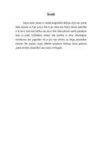 Referāts 'Senākā kuģniecība Baltijas jūrā', 3.