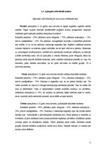 Referāts 'Mācīšanas stili saskaņā ar D.A.Kolba teoriju', 8.