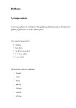 Referāts 'Tirgus pētījums: kafijas tirgus, "Nescafe"  zīmols', 19.