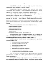 Diplomdarbs 'Uzņēmējdarbības attīstība', 6.