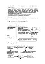 Referāts 'Strukturālie fondi lauku attīstībai un kooperācijai', 7.