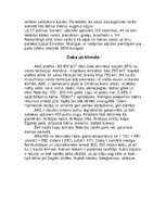 Referāts 'Apvienoto Arābu Emirātu pilsētas', 4.