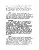 Referāts 'Apvienoto Arābu Emirātu pilsētas', 10.