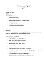 Paraugs 'Šūšanas mape', 3.