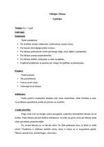 Paraugs 'Šūšanas mape', 5.