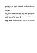 Paraugs 'Šūšanas mape', 6.