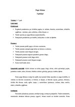 Paraugs 'Šūšanas mape', 8.