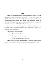 Referāts 'Tikumības analīze darbā "Vēstules Lucīlijam par ētiku"', 13.