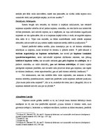 Referāts 'Lauku tūrisms', 4.