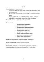 Referāts 'Reklāma un tās loma sabiedrībā', 5.