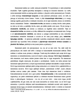 Konspekts 'Ekonomiskās sistēmas. Tirgus sistēma', 2.