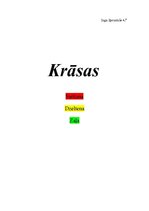 Referāts 'Krāsas reklāmā', 1.