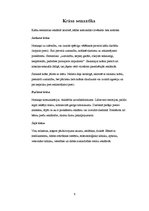 Referāts 'Krāsas reklāmā', 9.