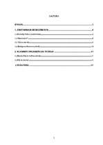 Referāts 'Menedžmenta teorijas vēsturiskie aspekti', 2.