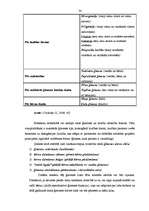 Diplomdarbs 'Sieviete ģimenē un algotā darbā: lomu konflikts un tā risinājumi', 24.