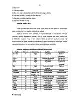 Diplomdarbs 'Sieviete ģimenē un algotā darbā: lomu konflikts un tā risinājumi', 39.